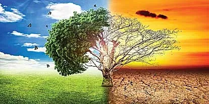 Earth के लिए कर दिखाया अपनी उम्र से बड़ा काम, दुनिया मानेगी लोहा