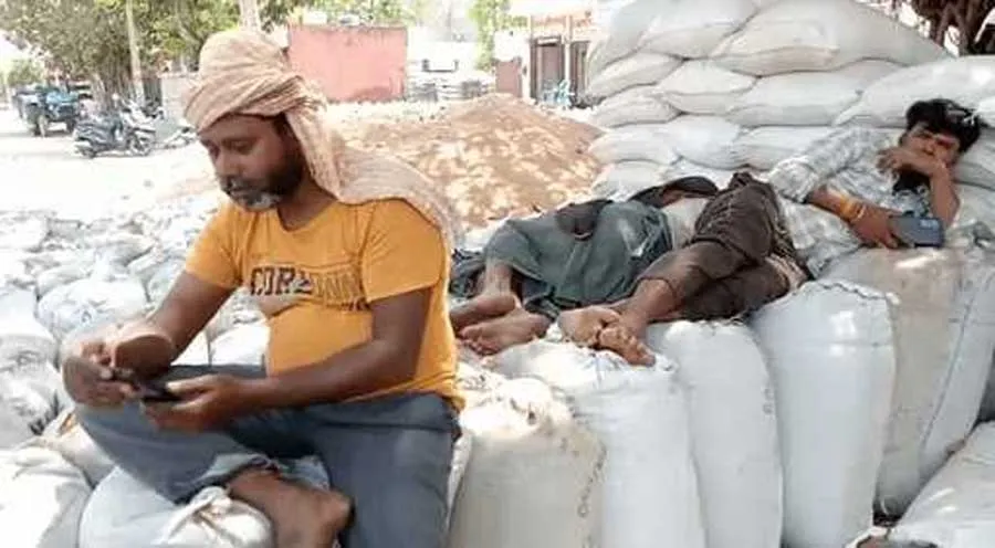 बारिश की संभावना लगातार बढ़ा रही है किसानों की परेशानी