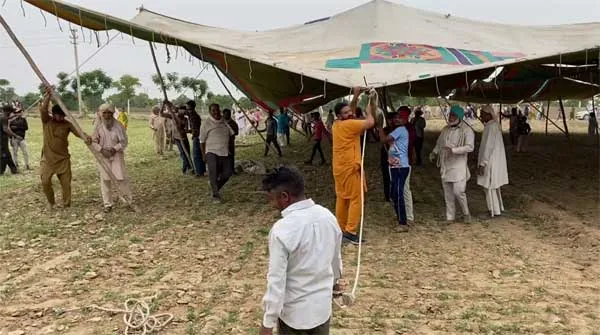 LIVE: डेरा सच्चा सौदा में उमड़ा श्रद्धा का सैलाब, सेवादारों खड़ी फसलों में बनाने पड़ रहे पंडाल