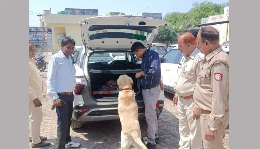 डॉग स्क्वायड ने कोर्ट परिसर में चलाया चेकिंग अभियान