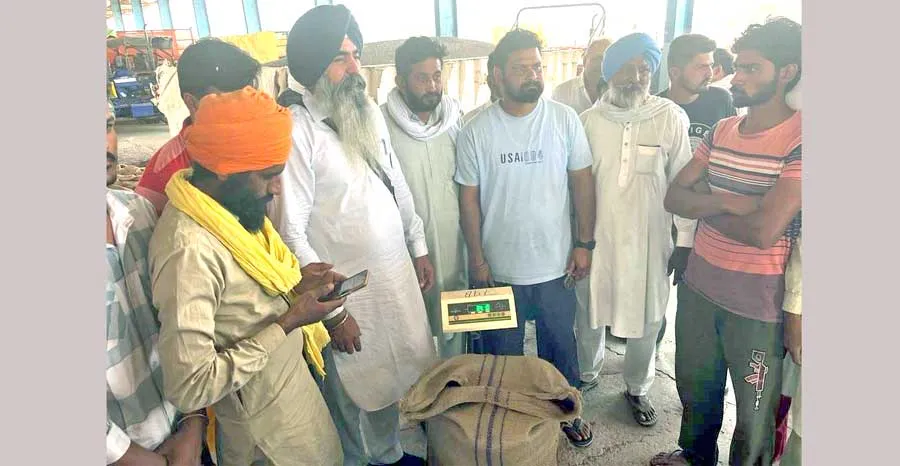 कालांवाली अनाज मंडी में तोल में लूट: खरीद एजेंसी, हेंडलिंग एजेंटों के सिर फोड़ रही ठीकरा