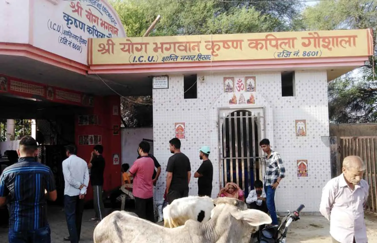 हिसार में सोते हुए गौशाला के चौकीदार को कुल्हाड़ी से काटा, शव चारपाई के नीचे फेंका