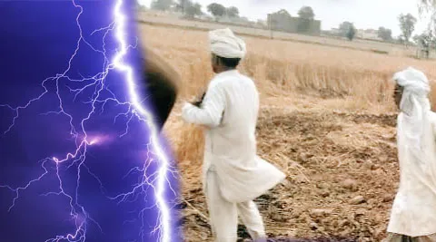 आसमानी बिजली गिरने से गेहूं की फसल में लगी आग