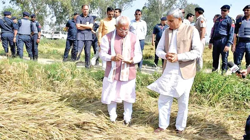 मुख्यमंत्री मनोहर लाल ने किया खेतों का दौरा, जानी धरतीपुत्र की व्यथा