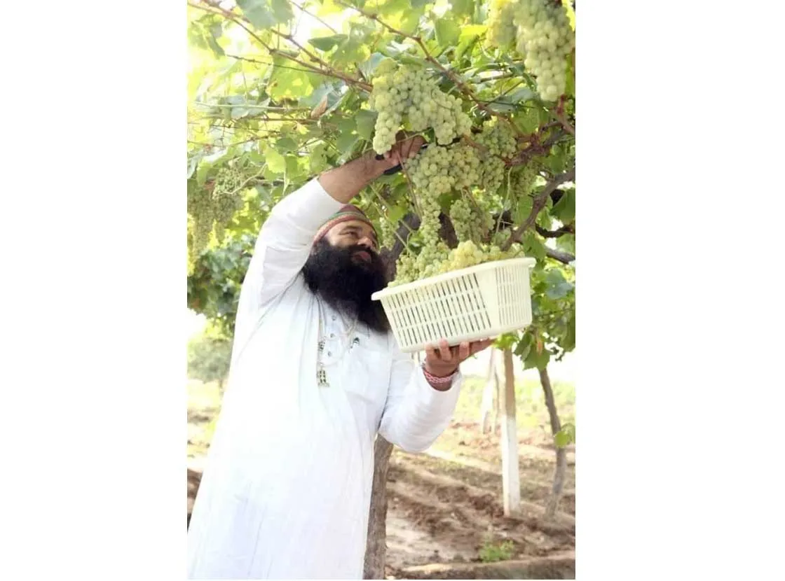 पूज्य गुरु जी की ये तस्वीर खूब हो रही वायरल देखें…