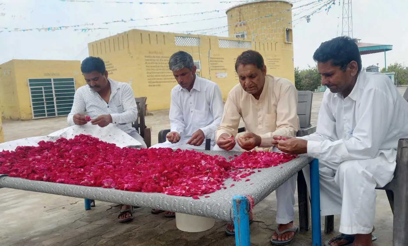 तैयार हो रहा गर्मियों का तोहफा