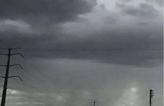 Punjab weather Report: मौसम विभाग का ताजा अलर्ट, किसानों की थम गई सांसें