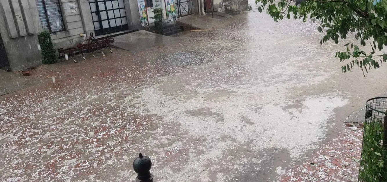 संगरूर में भारी ओलावृष्टि