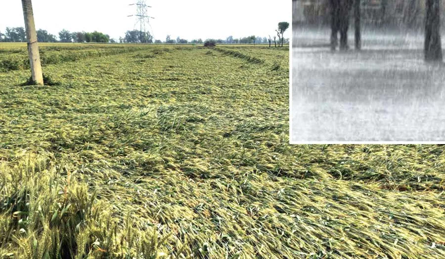IMD Update: हे राम जी कुछ रहम करो… मौसम विभाग ने फिर दी चेतावनी, हरियाणा समेत इन राज्यों में बारिश की संभावना