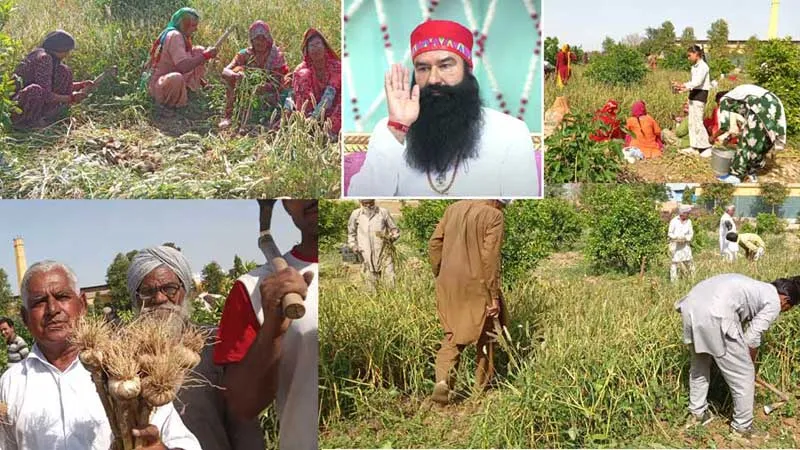 जो नाम जपे सेवा करे गुरू भगत प्यारा गुरू की आंख का तारा
