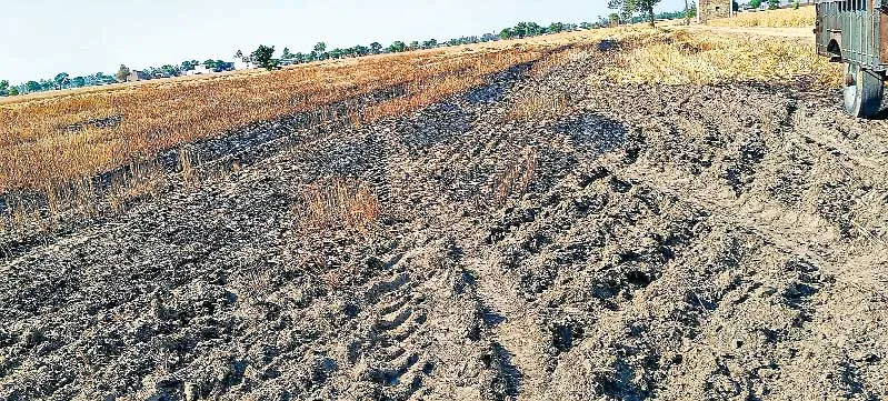 Fatehabad News: कंबाइन मशीन से निकली चिंगारी, 8 कनाल गेहूं की फसल स्वाह