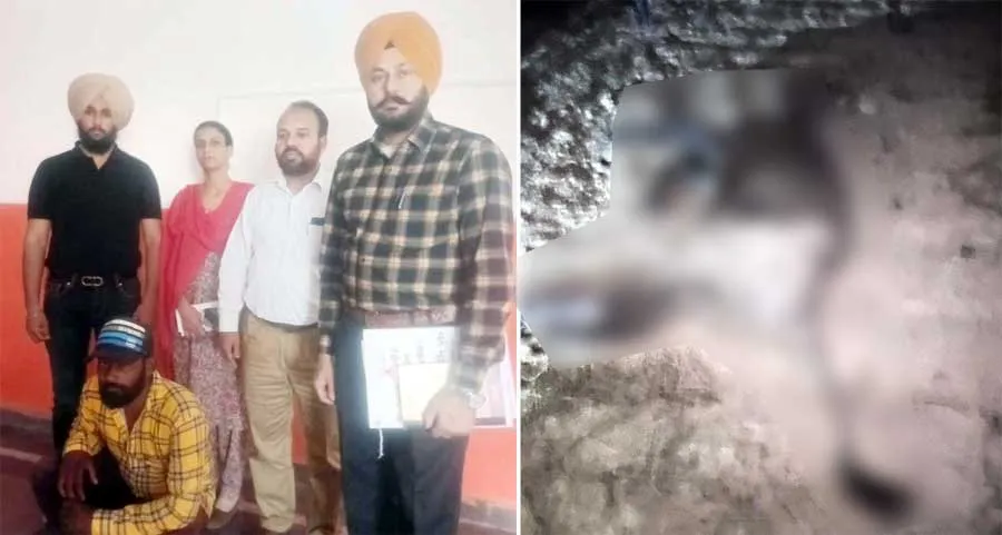 अबोहर में नील गाय की हत्या करने वाला काबू