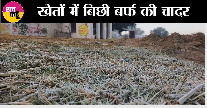 Weather Forecast: आसमान से ओलों की फायरिंग, मौसम विभाग का फिर से अलर्ट, पढ़ें नया अपडेट