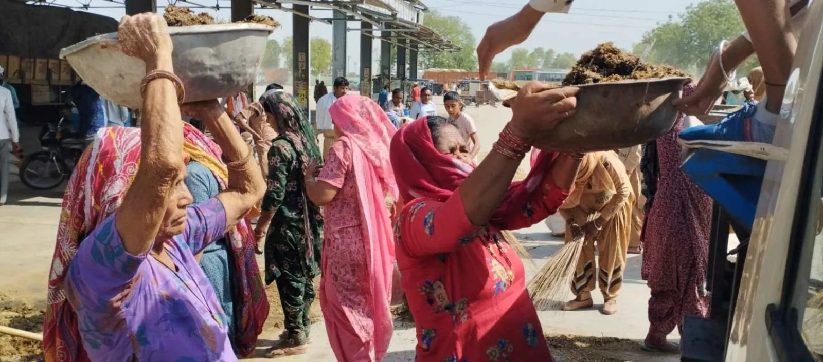 सूर्योदय के साथ ही सत्संग स्थल पहुंचे हनुमानगढ़ के सेवादार, हाथों में दिखीं झाडू ही झाडू, चमकाया कोना-कोना