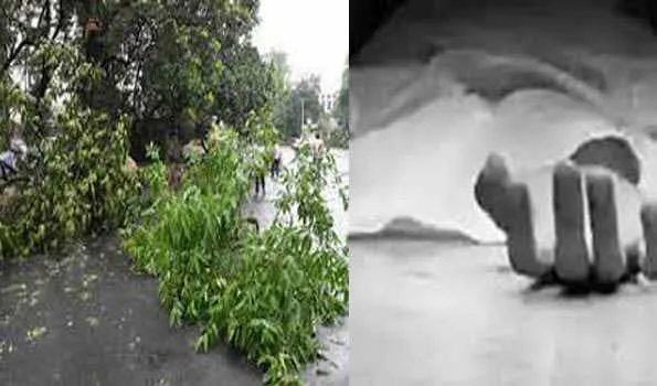 जम्मू कश्मीर में पेड़ गिरने से चार लोगों की मौत