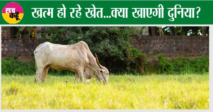 Kisan news: क्या होगा अगर खत्म हो जाएंगे खेत…