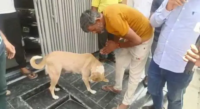 पानीपत में कुतिया के पैर पकड़कर मांगी माफी, Video वायरल