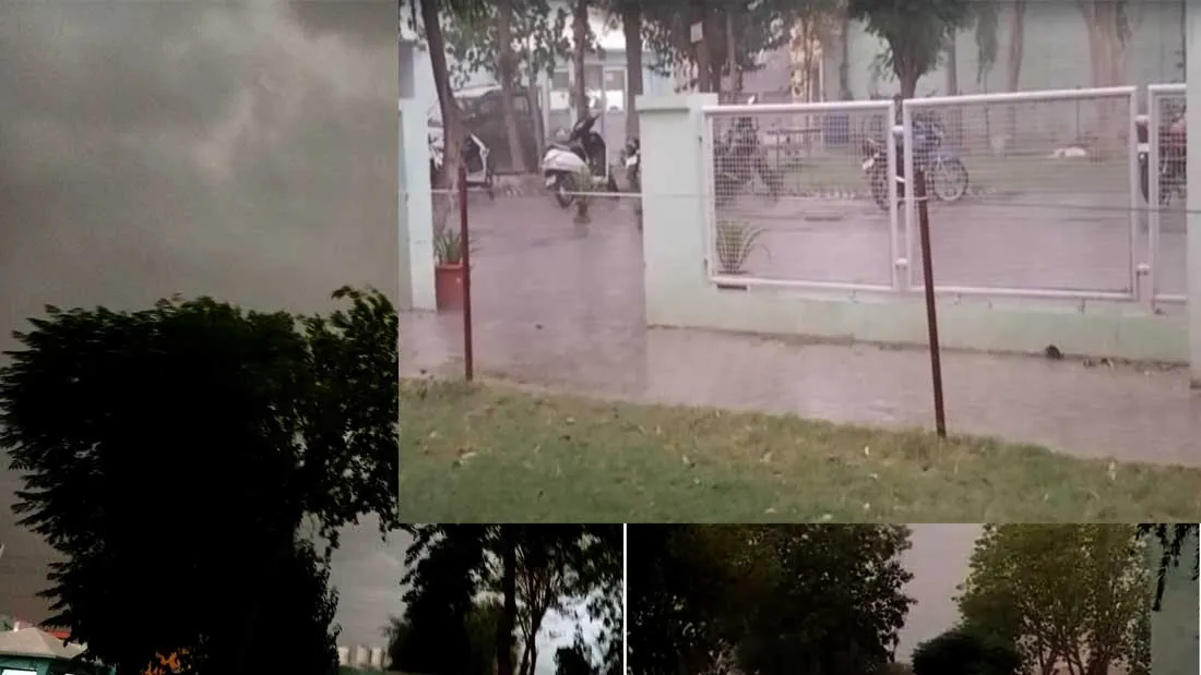 अचानक आई बारिश ने मौसम में पहुंचाई ठंडक