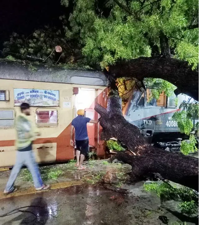 तूफान की तबाही का मंजर देख लीजिए, कितना ज्यादा नुकसान, रेल यातायात बाधित