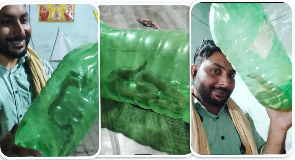 ढाबे पर जहरीले सांप को देखकर सहमे लोग तो डेरा अनुयाई ने दिखाई मानवता