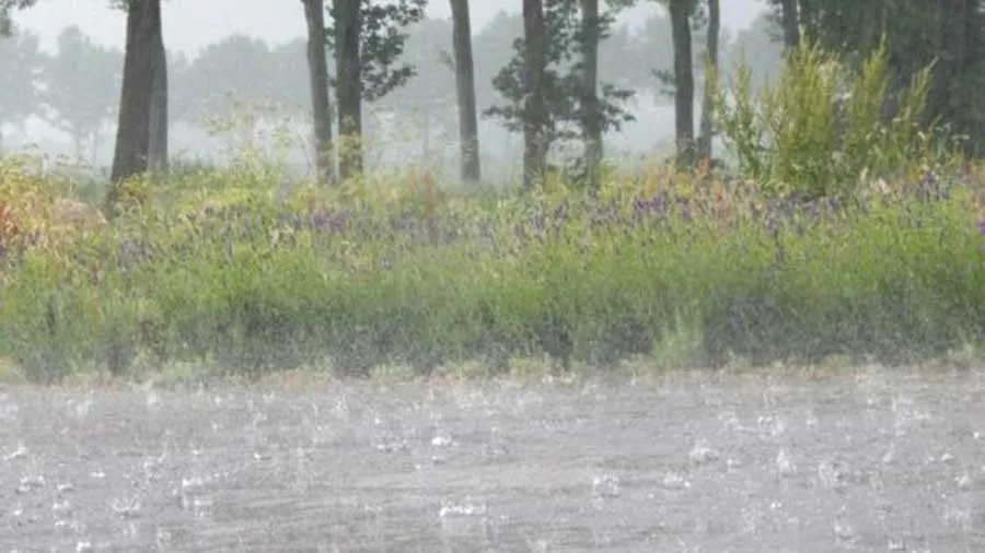 Weather: एसी चलाए या हीटर? जमकर हुई बारिश, सोशल मीडिया पर ….