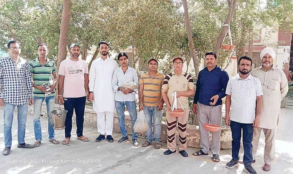 डेरा प्रेमियों ने पेड़ों पर बांधे परिण्डे