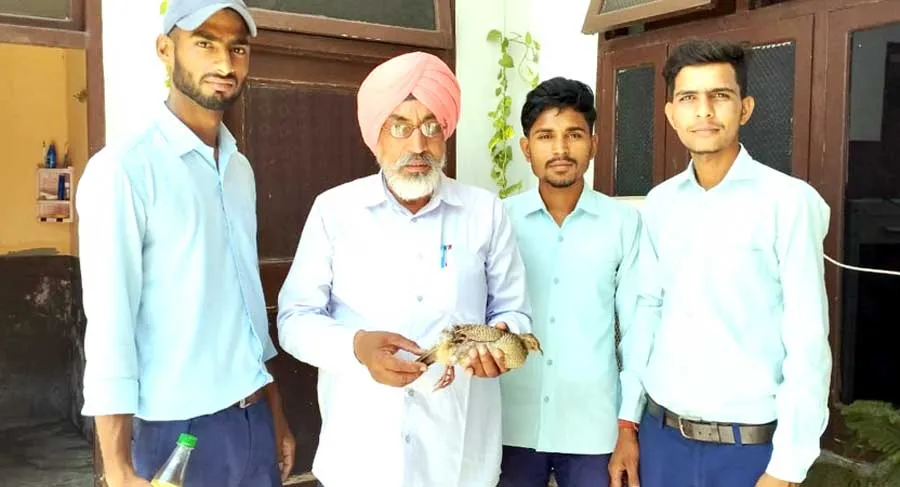 अंधड़ में जख्मी हुए परिंदों की कर रहे देखभाल