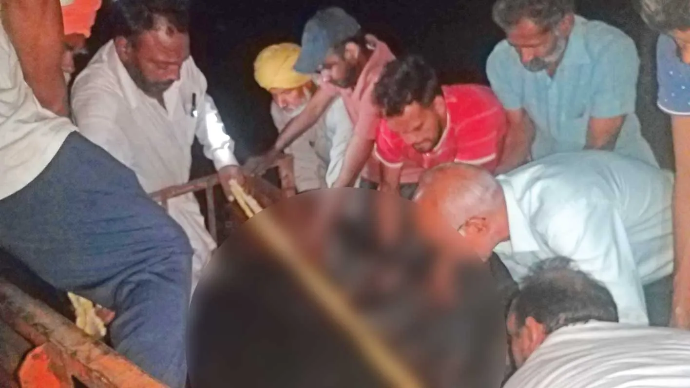 डेरा श्रद्धालुओं ने घायल गाय की संभाल कर दिखाई इन्सानियत, पहुंचाया गौशाला