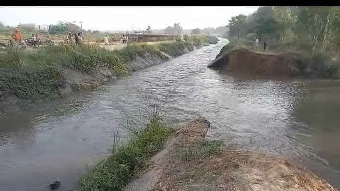 सीएलसी नहर में आई 50 मीटर चौड़ी दरार, 250 एकड़ भूमि में जलभराव