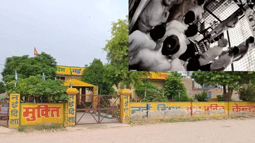 नशा मुक्ति केन्द्र से भागे 9 युवक