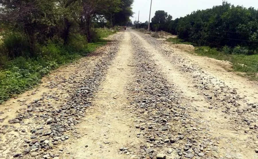 गांव हरिपुरा से दानेवाला को जाने वाली सड़क की हालत बनी दयनीय