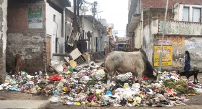 कूड़े के ढेर को देखकर रिश्ता करने से कतराते है लोग