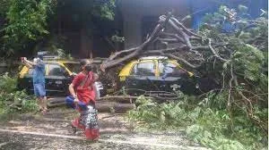Biparjoy Cyclone
