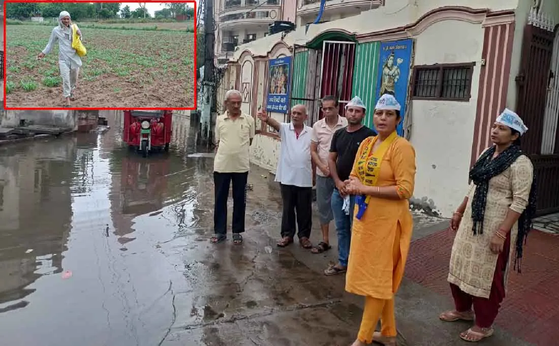 Monsoon : हरियाणा में भी मानसून की दस्तक, भिवानी में किसानों के लिए बरसा ‘सोना’
