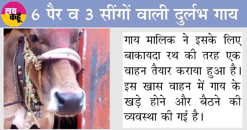 6 पैर व 3 सींगों वाली दुर्लभ गाय, देखने को उमड़ी भीड़