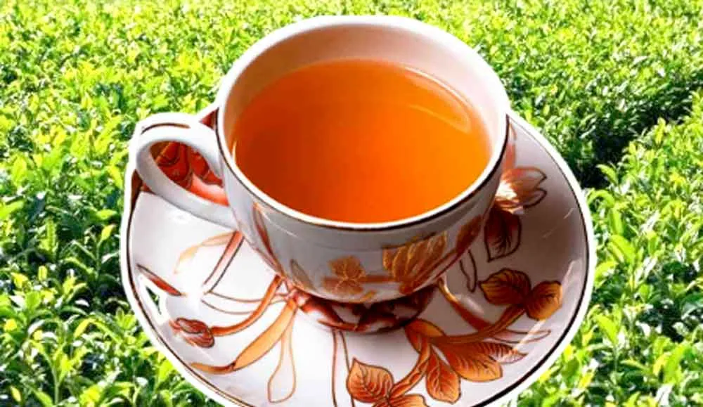 Green Tea Benefits: ग्रीन टी के फायदे, ग्रीन टी पीने का सही समय और सही तरीका