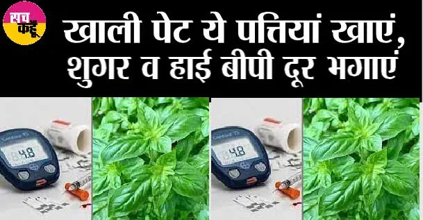 Herb For Diabetes: ये पत्ते शुगर को कंट्रोल करने के लिए अमृत है, सुबह-सुबह करें सेवन