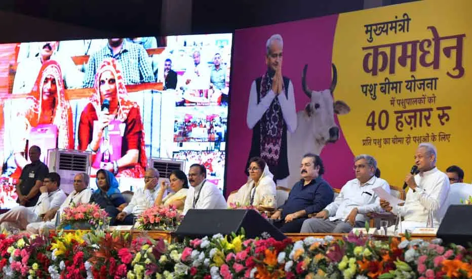 मुख्यमंत्री ने पशुपालकों को दी राहत, खातों में डीबीटी से भेजे 175 करोड़ रुपए,