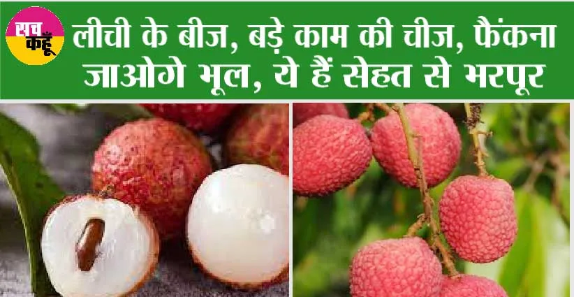 Litchi Benefits: लीची के बीज, बड़े काम की चीज, फैंकना जाओगे भूल, ये हैं सेहत से भरपूर