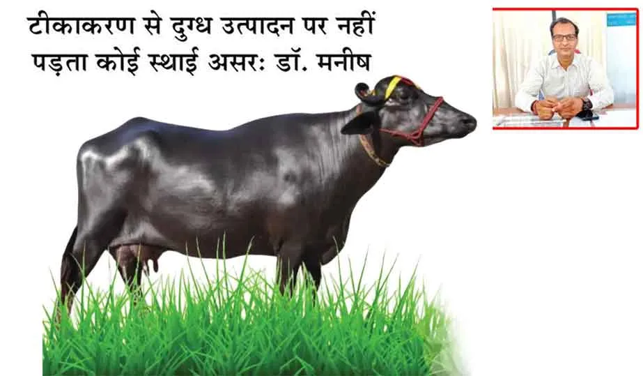 गर्मी के मौसम में दुधारू पशुओं का रखें विशेष ध्यान