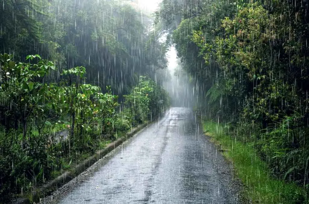 Monsoon : निकासी के हों उचित प्रबंध