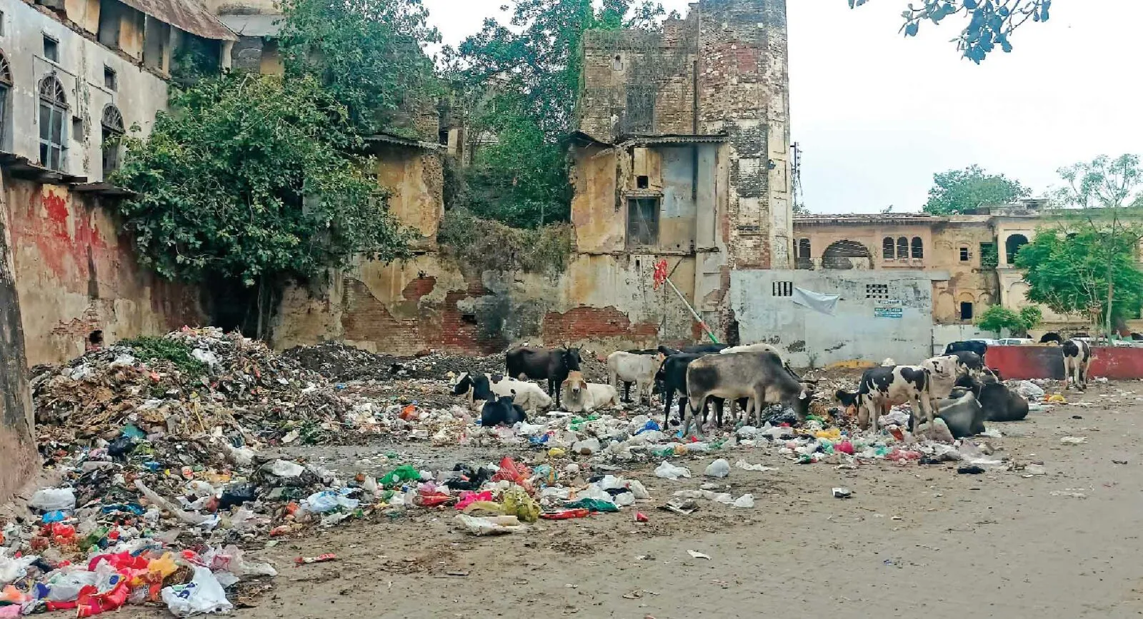 नाभा का विरासती किला बना कूड़े का डम्प