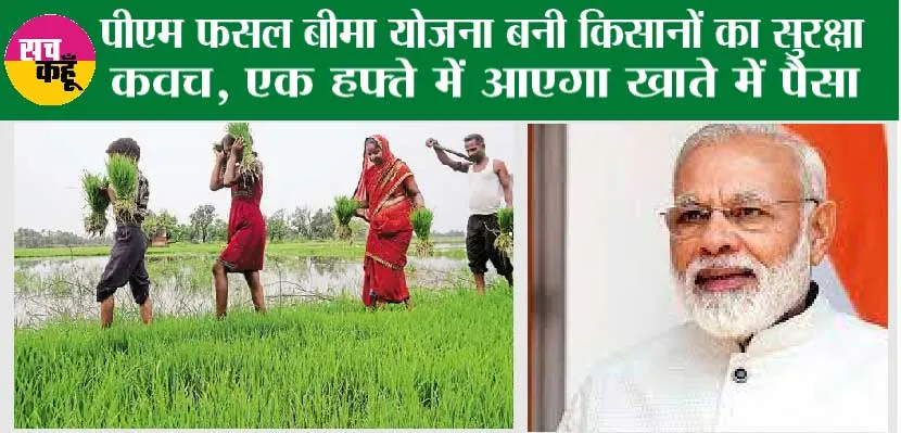 PM Fasal Bima Yojana: किसानों की हुई मौज, एक हफ्ते में मिलेगी खराब फसल के मुआवजे की डोज !