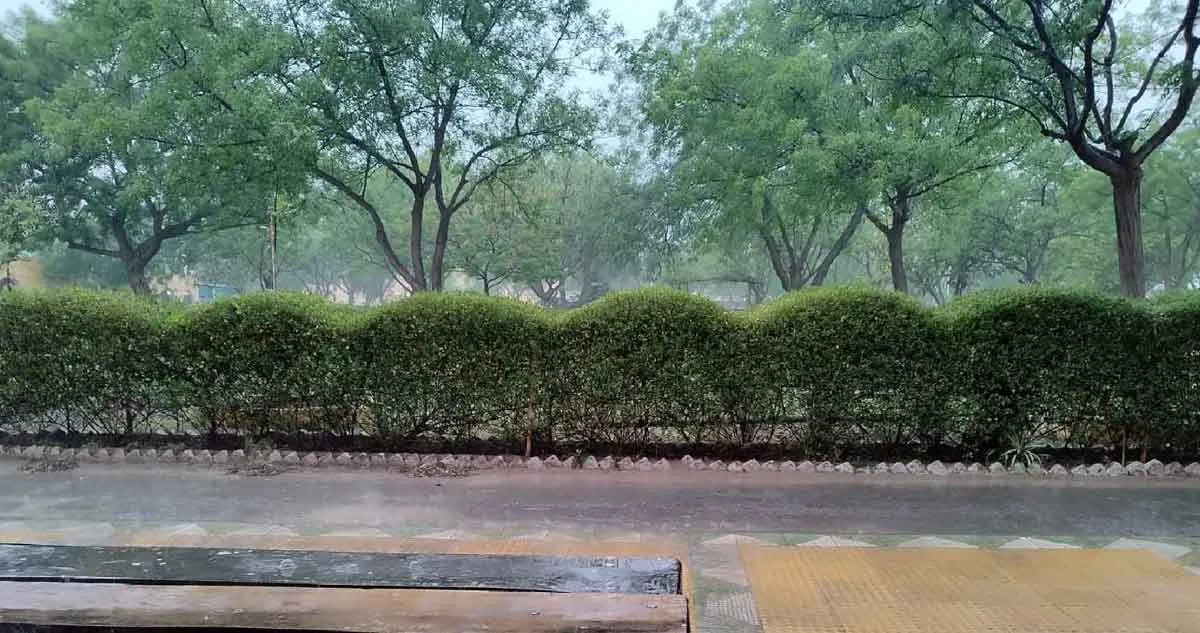 Haryana Ka Mausam: हरियाणा के अगले तीन दिन का मौसम जारी