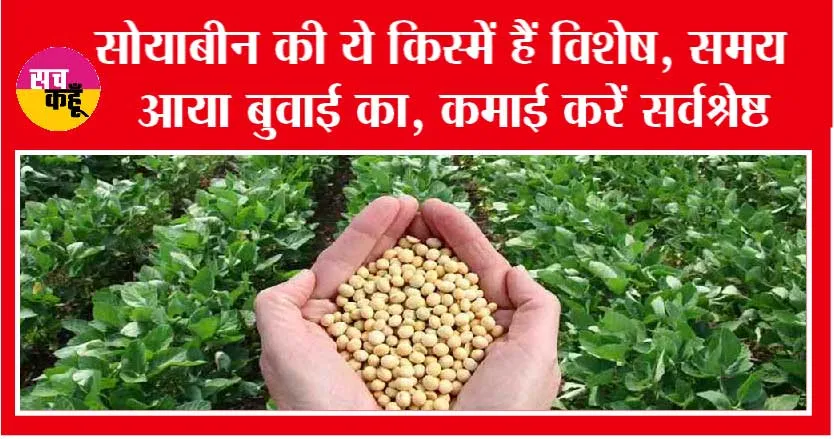 Kharif Crop season: सोयाबीन की ये किस्में हैं विशेष, समय आया बुवाई का, कमाई करें सर्वश्रेष्ठ