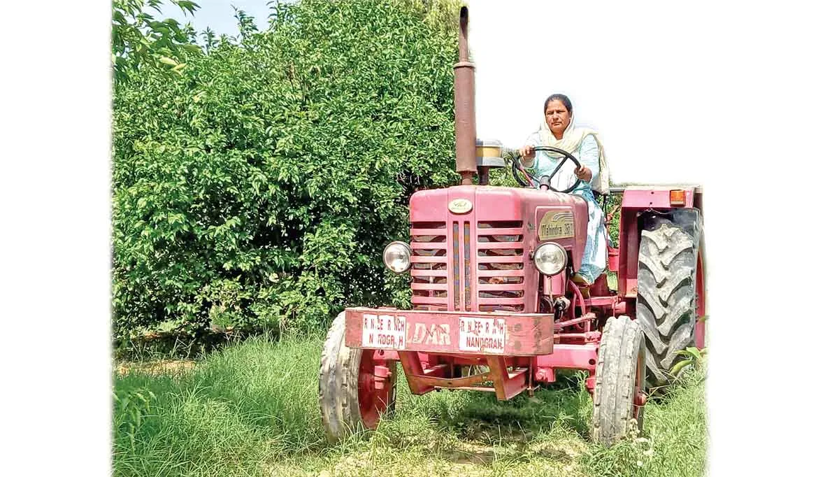 म्हारी  खेती-म्हारे किसान : पीक्यूएनके पद्धति अपनाकर बागवानी में मोटा मुनाफा कमा रही सुनीता गोदारा