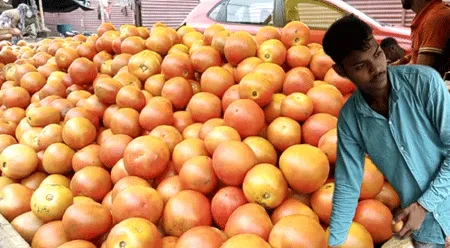अचानक कैसे बढ़ गए टमाटर के दाम, जानिए क्या है असली वजह?