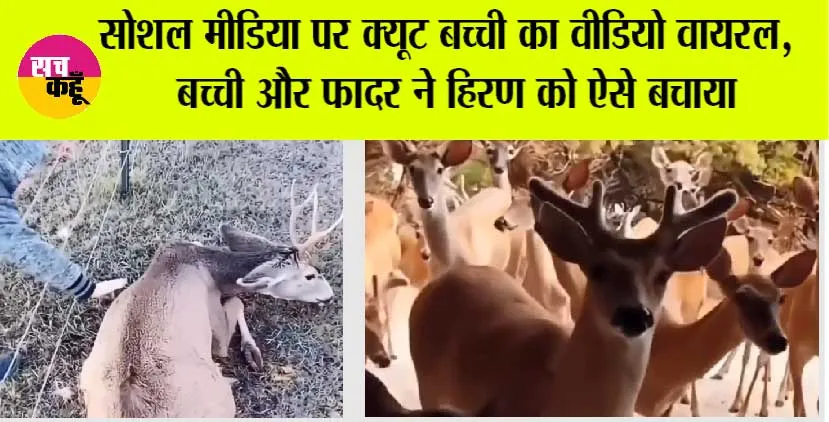 Trending Video: कंटीली तार से हिरण की मदद को बढ़ाए थे हाथ, हिरण पहुंचा करने धन्यवाद मिलकर दोस्तों के साथ
