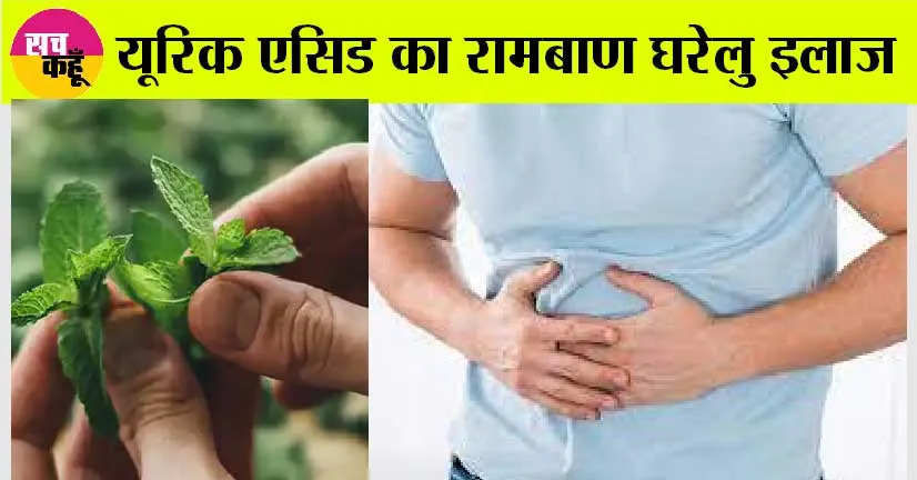 Uric Acid: यूरिक एसिड का रामबाण घरेलु इलाज