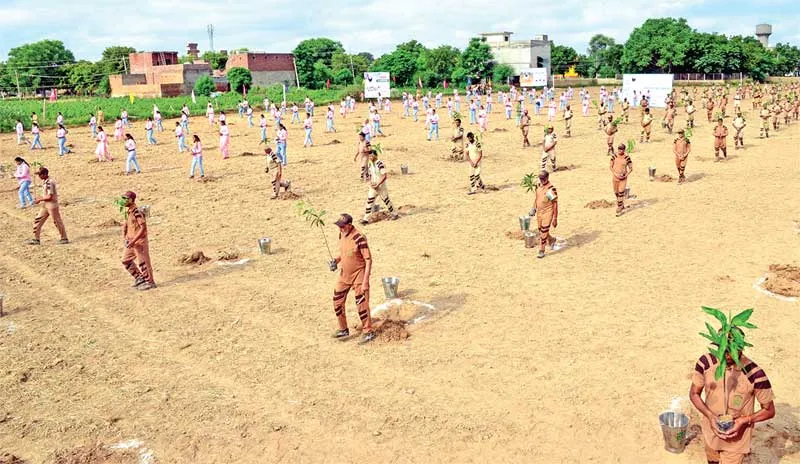 World Environment Day